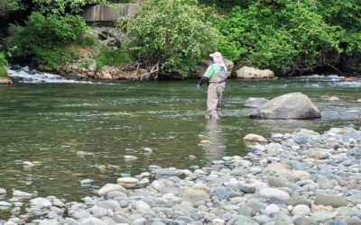 Oyster River Outings, May 31st & Jun 03